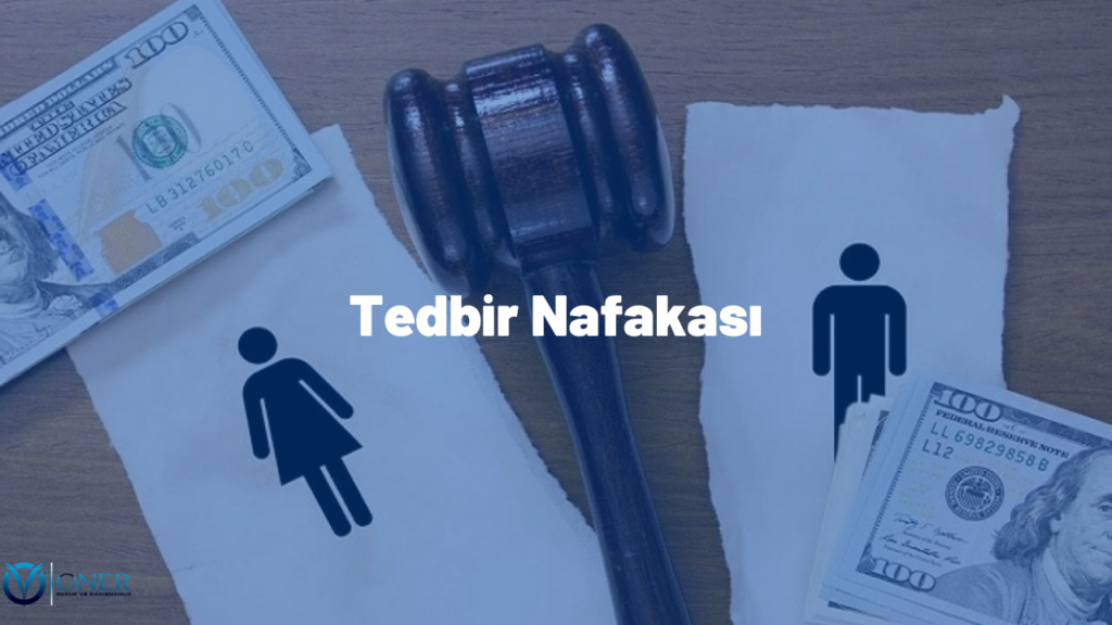 Tedbir Nafakası