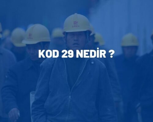 Kod 29 Nedir ?