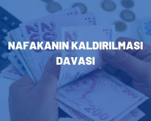 Nafakanın Kaldırılması Davası