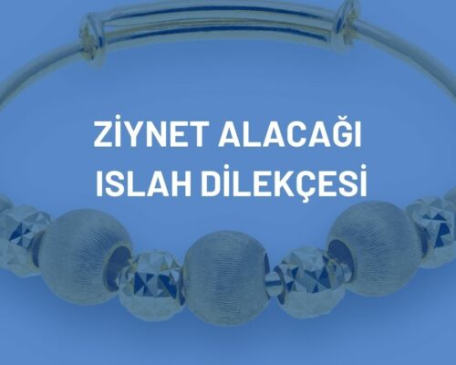 Ziynet Alacağı Islah Dilekçesi